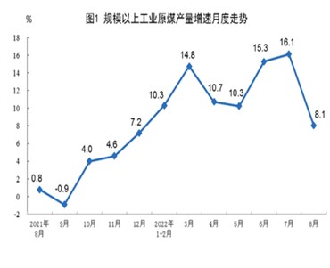 2022年8月国内(na)能源生产情况