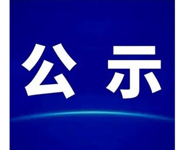 关于石化区公用管廊（滨海大道-滨海十二(er)路段）一期项目施工招标计划标前公示